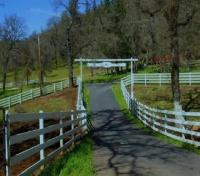 Rockin'R Ranch